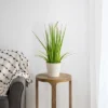 Northlight 24" Artificial Green Onion Grass Plant In Tin Pot -Finest Home Decoration GUEST 013e9dc2 7d50 4b67 b7bc c0eb9c8b6d14