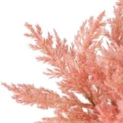 Northlight 12" Pink Cypress Artificial Plant In A Ceramic Pot 11 Northlight 12" Pink Cypress Artificial Plant In A Ceramic Pot -Finest Home Decoration GUEST 03a672dc 583b 4dfc ae55 a7dc61a23e18