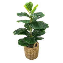 30" X 16" Artificial Fig Plant In Basket With Handles - LCG Florals -Finest Home Decoration GUEST 14179e98 8db3 4b1b be11 2a1507d70592