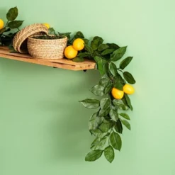 Vickerman 6' Artificial Green And Yellow Salal Leaf Lemon Garland. 9 Vickerman 6' Artificial Green And Yellow Salal Leaf Lemon Garland. -Finest Home Decoration GUEST 1910f952 a46e 4360 bff7 384e4ae4deca