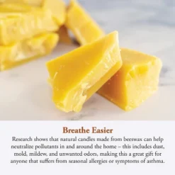 Candle By The Hour 144-Hour Candle Refill, Eco-friendly Natural Beeswax With Cotton Wick -Finest Home Decoration GUEST 1be736d2 98df 44a4 a9c7 7790105f7a35 1