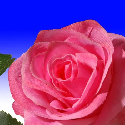 National Tree Company 72" Rose And Hydrangea Garland 5 National Tree Company 72" Rose And Hydrangea Garland - Image 3