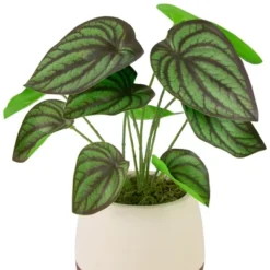 Northlight 10.25" Artificial Peperomia Plant In Two-Tone Ceramic Pot -Finest Home Decoration GUEST 247ab378 491f 4bdc 94d9 eaa7465167c3