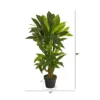 Nearly Natural 3-ft Corn Stalk Dracaena Artificial Plant (Real Touch) -Finest Home Decoration GUEST 249a6cca 38a1 4a54 ba18 5aa9e8b8ee67