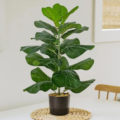 Forever Leaf 28" Artificial Fiddle Fig Leaf Plant In Black Pot, Indoor Artificial Plant For Home Decor 4 Forever Leaf 28" Artificial Fiddle Fig Leaf Plant In Black Pot, Indoor Artificial Plant For Home Decor - Image 2