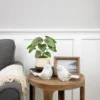 Northlight 10.25" Artificial Peperomia Plant In Two-Tone Ceramic Pot -Finest Home Decoration GUEST 3eb6707c 98c1 4279 9024 d037e3a521c9