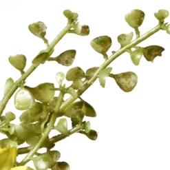 National Tree Company 22" Cosmos Flowers Wreath 8 National Tree Company 22" Cosmos Flowers Wreath -Finest Home Decoration GUEST 43d1f6fb fa7f 4758 9de8 d491fd2cfdb2