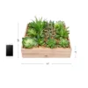 Nature Spring Artificial Succulent Arrangement 2 Nature Spring Artificial Succulent Arrangement -Finest Home Decoration GUEST 48767ac1 0fe8 4910 b21c 33126396bc81