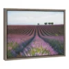 23" X 16" Velours De Lavender Framed Canvas Wall Art - Amanti Art -Finest Home Decoration GUEST 4901f0b8 b4eb 4ead aa4a 3597ecbb5001