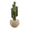 Nearly Natural 2.5-ft Cactus Artificial Plant In Bowl Planter -Finest Home Decoration GUEST 4b1bc800 0bfb 48bd 8334 2b852bab0333