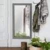 29.5" X 53.5" Textured Wood Grain Mirror Gray - Head West -Finest Home Decoration GUEST 4c8c9406 378b 47f5 adb4 008bc5c3689d