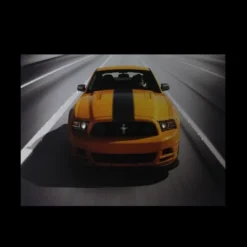 Northlight Fiber Optic And LED Lighted 2013 Ford Mustang Boss 302 Canvas Wall Art 12" X 15.75" -Finest Home Decoration GUEST 4db02b46 eab1 4e54 87ca 701adf9ee83b