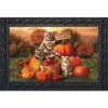 Briarwood Lane Fall Kittens Pumpkins Doormat Apple Basket Autumn Indoor / Outdoor 30" X 18"