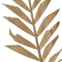 Vickerman Natural Botanicals 27" Rahul Stick Natural 8 Stems/Bunch. Each Rahul Stick Measures About 27 Inches Tall And 3.9 To 4.3 Inches Wide. It -Finest Home Decoration GUEST 573b4161 7903 4c2e 86d6 b643af9569dc