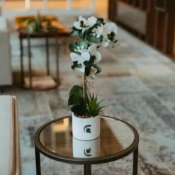 Forever Leaf Michigan State Faux Orchid, Indoor Artificial Plant For Home Decor -Finest Home Decoration GUEST 5be966bc 74c2 43e4 9226 8b2efc113870