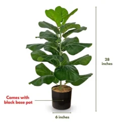 Forever Leaf 28" Artificial Fiddle Fig Leaf Plant In Black Pot, Indoor Artificial Plant For Home Decor 13 Forever Leaf 28" Artificial Fiddle Fig Leaf Plant In Black Pot, Indoor Artificial Plant For Home Decor -Finest Home Decoration GUEST 5e155c32 1870 4736 b372 a16b2ac95527