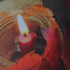 Northlight LED Lighted Autumn Leaves And Flickering Candles Canvas Wall Art 23.5" X 15.75" -Finest Home Decoration GUEST 5f0a0159 7294 40c8 9f85 ca7c6f065d2f