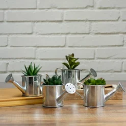 Northlight 4" Echeveria Succulent In Watering Can Artificial Potted Plant - Green/Silver