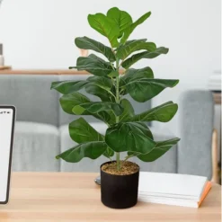 Forever Leaf 28" Artificial Fiddle Fig Leaf Plant In Black Pot, Indoor Artificial Plant For Home Decor 12 Forever Leaf 28" Artificial Fiddle Fig Leaf Plant In Black Pot, Indoor Artificial Plant For Home Decor -Finest Home Decoration GUEST 61c160d2 1e52 4501 982d 95b9252176ba