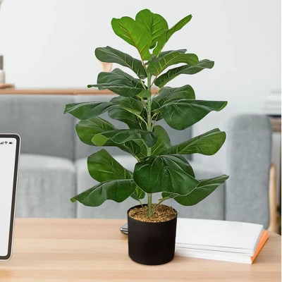Forever Leaf 28" Artificial Fiddle Fig Leaf Plant In Black Pot, Indoor Artificial Plant For Home Decor 6 Forever Leaf 28" Artificial Fiddle Fig Leaf Plant In Black Pot, Indoor Artificial Plant For Home Decor - Image 4