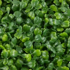 Northlight 19" Two Tone Green Artificial Boxwood Topiary Ball 8 Northlight 19" Two Tone Green Artificial Boxwood Topiary Ball -Finest Home Decoration GUEST 6484c81b 15c0 4f8d 8c9c 76ad76a5f56f