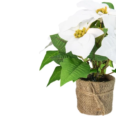 Northlight 11.75" LED Artificial White Poinsettia Potted Plant - Clear Lights 4 Northlight 11.75" LED Artificial White Poinsettia Potted Plant - Clear Lights - Image 2