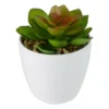 Northlight 4" Mini White Potted Artificial Succulent Plant -Finest Home Decoration GUEST 6b157879 4892 40ae 8526 64666ff95c06