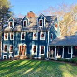 Northlight 24" Unlit Canadian Pine Artificial Christmas Wreath 9 Northlight 24" Unlit Canadian Pine Artificial Christmas Wreath -Finest Home Decoration GUEST 6cca1dfc a278 43b6 ab26 36d525bf9ff4