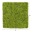 Nearly Natural 20-in X 20-in Duckweed Artificial Wall Mat