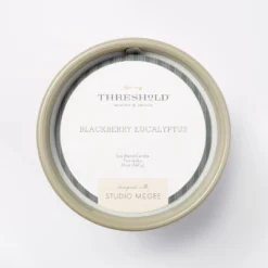 20oz Ceramic Blackberry Eucalyptus Candle Green - Threshold™ Designed With Studio McGee -Finest Home Decoration GUEST 870ce181 98d9 4be6 a455 6aadadca64e1
