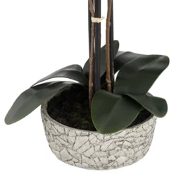 Studio 55D Potted Faux Artificial Flowers Realistic Red Orchid In Gray Vase With Black Riser For Home Decor Living Room 24" High -Finest Home Decoration GUEST 88198cd1 3ee7 4b03 916c 3917e8cb7841