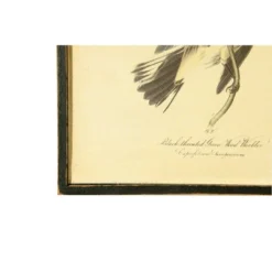 7.8" X 11.7" (Set Of 4) Styles Vintage Bird On Branch Wood Framed Wall Art - Storied Home 9 7.8" X 11.7" (Set Of 4) Styles Vintage Bird On Branch Wood Framed Wall Art - Storied Home -Finest Home Decoration GUEST 88699209 a66c 4715 a0ea 54e221f31492