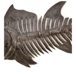 Global Crafts Grey Fish Bones Nautical Haitian Steel Drum Wall Art -Finest Home Decoration GUEST 9331808b 625d 4b87 836b b58864e754ef