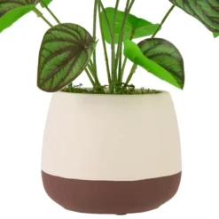 Northlight 10.25" Artificial Peperomia Plant In Two-Tone Ceramic Pot -Finest Home Decoration GUEST 9717fb24 19da 4293 a814 8ab59c4b7a8b