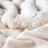 Lavish Home 60x80 Jacquard Faux Fur Blanket