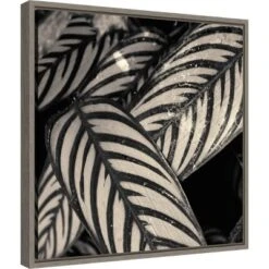 16" X 16" Varigated Leaves No.2 By Gary Horsfall Framed Canvas Wall Art - Amanti Art