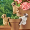 Collections Etc Hand-Painted Puppy Flower Pot Hugger Figurines - Set Of 3 -Finest Home Decoration GUEST a0fa45a4 9e71 4a49 9346 6114e0d5b5b0