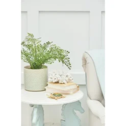 Gallerie II Sea Turtle Figure Small 9 Gallerie II Sea Turtle Figure Small -Finest Home Decoration GUEST a71e9d24 cce3 4ce0 b33e 025a2773cd36