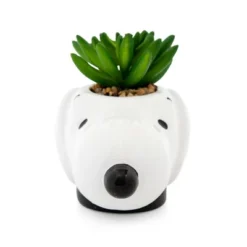 Silver Buffalo Peanuts Snoopy Face Ceramic Mini Planter With Artificial Succulent | 3.5"L X 5" H X 5" W -Finest Home Decoration GUEST ac70db73 97d5 4ffe 8806 028d0348b7f5