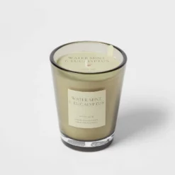 Colored Vase Glass With Dustcover Watermint And Eucalyptus Candle Green - Threshold™ 15 Colored Vase Glass With Dustcover Watermint And Eucalyptus Candle Green - Threshold™ -Finest Home Decoration GUEST ae8e6bdf 6741 4047 bc7b 87c9f71c548e