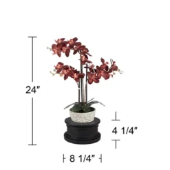 Studio 55D Potted Faux Artificial Flowers Realistic Red Orchid In Gray Vase With Black Riser For Home Decor Living Room 24" High -Finest Home Decoration GUEST af3654ca adad 47af bc36 20df601763e6