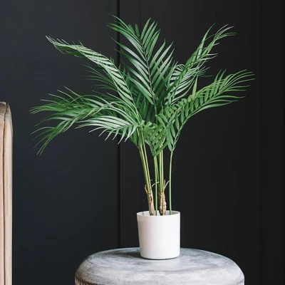 Forever Leaf 30" Artificial Palm Tree In Black Pot, Indoor Artificial Plant For Home Decor 4 Forever Leaf 30" Artificial Palm Tree In Black Pot, Indoor Artificial Plant For Home Decor - Image 2