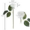 Artificial Open Rose Bundles ? 18PC Real Touch Fake 11.5-Inch Flowers With Stems For Home Décor, Wedding Or Bridal/Baby Showers By Pure Garden (White) -Finest Home Decoration GUEST b8262f1f c72c 4aba 8dbd 40ee2e19f658
