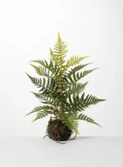 Sullivans Artificial Fern In Ball 9 Sullivans Artificial Fern In Ball -Finest Home Decoration GUEST bb056bbe 75fe 482a a13b af26a2d2f2e8