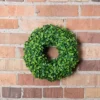 10" Artificial Mini Button Leaf Wreath - Vickerman 2 10" Artificial Mini Button Leaf Wreath - Vickerman -Finest Home Decoration GUEST bba31c61 7633 4988 a77a 0daa650afafa