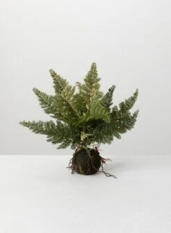 Sullivans Artificial Fern In Ball 8 Sullivans Artificial Fern In Ball -Finest Home Decoration GUEST c0e1cdf8 1554 40cb b369 f14637aa0f66