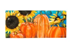 Evergreen Indoor Outdoor Doormat Bundle Set Of 5 - Frame And 4 Welcome Seasonal Inserts Spring Summer Fall And Winter -Finest Home Decoration GUEST c3c21e44 9c88 4c11 b215 b0f0786193ea