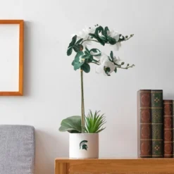 Forever Leaf Michigan State Faux Orchid, Indoor Artificial Plant For Home Decor -Finest Home Decoration GUEST c8f98faa c24d 41e1 926d 2f2ecb9e2fbc