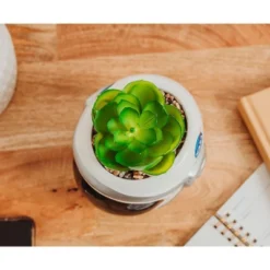 Silver Buffalo NASA Space Helmet 6-Inch Ceramic Planter With Artificial Succulent -Finest Home Decoration GUEST cd86588e a44a 4f50 b22e cb1849b40e2b