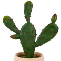 Northlight Real Touch™ Artificial Green And Red Potted Floral Cactus 9.5" 11 Northlight Real Touch™ Artificial Green And Red Potted Floral Cactus 9.5" -Finest Home Decoration GUEST d441b7e9 68de 46db 87a8 53b658aa8cb7